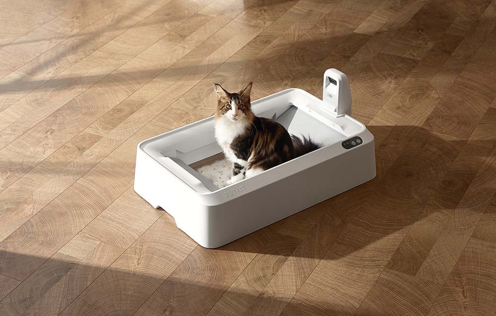 Kot siedzący w automatycznej kuwecie PetKit Purobot Crystal Duo na drewnianej podłodze